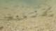 baja08060_small.jpg