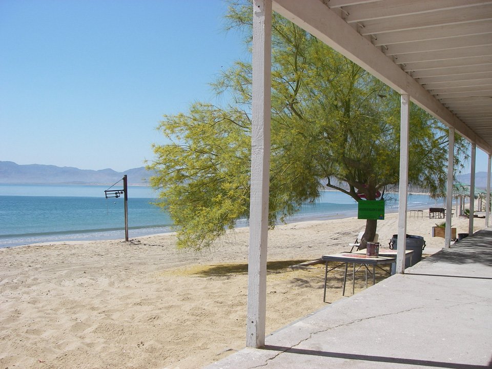 baja08062.jpg