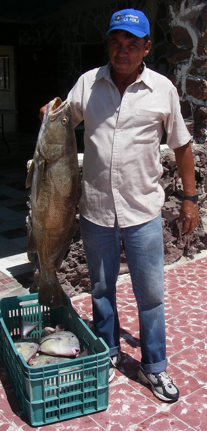 baja08063.jpg