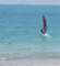 baja08065_small.jpg