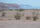 baja08069_small.jpg