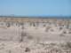 baja08074_small.jpg