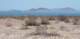 baja08076_small.jpg