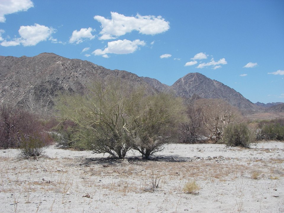 baja08079.jpg
