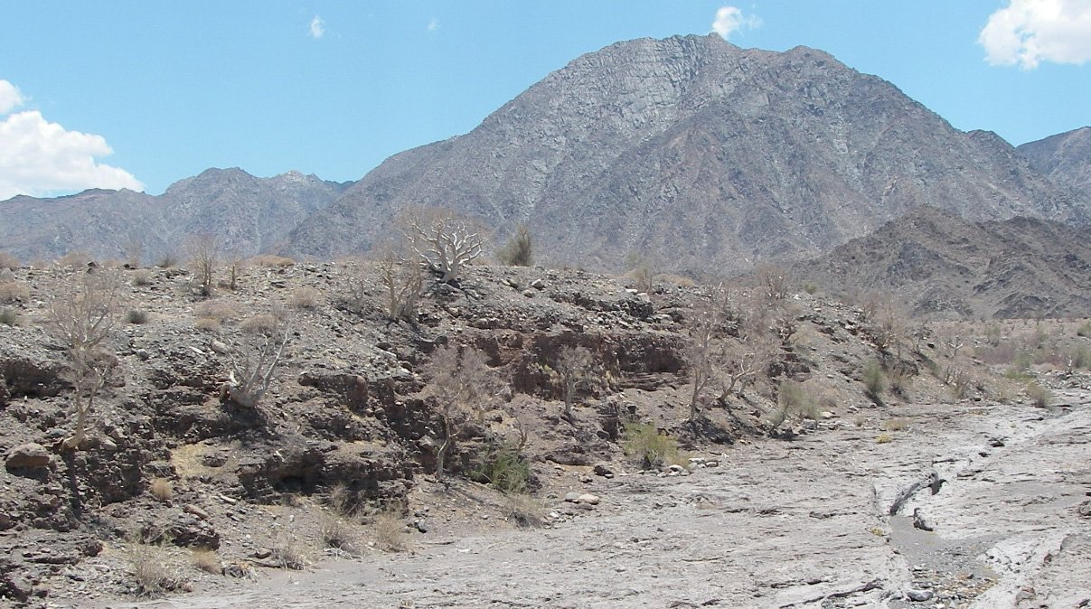baja08081.jpg
