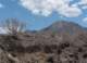baja08082_small.jpg