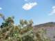 baja08086_small.jpg