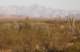 baja08092_small.jpg