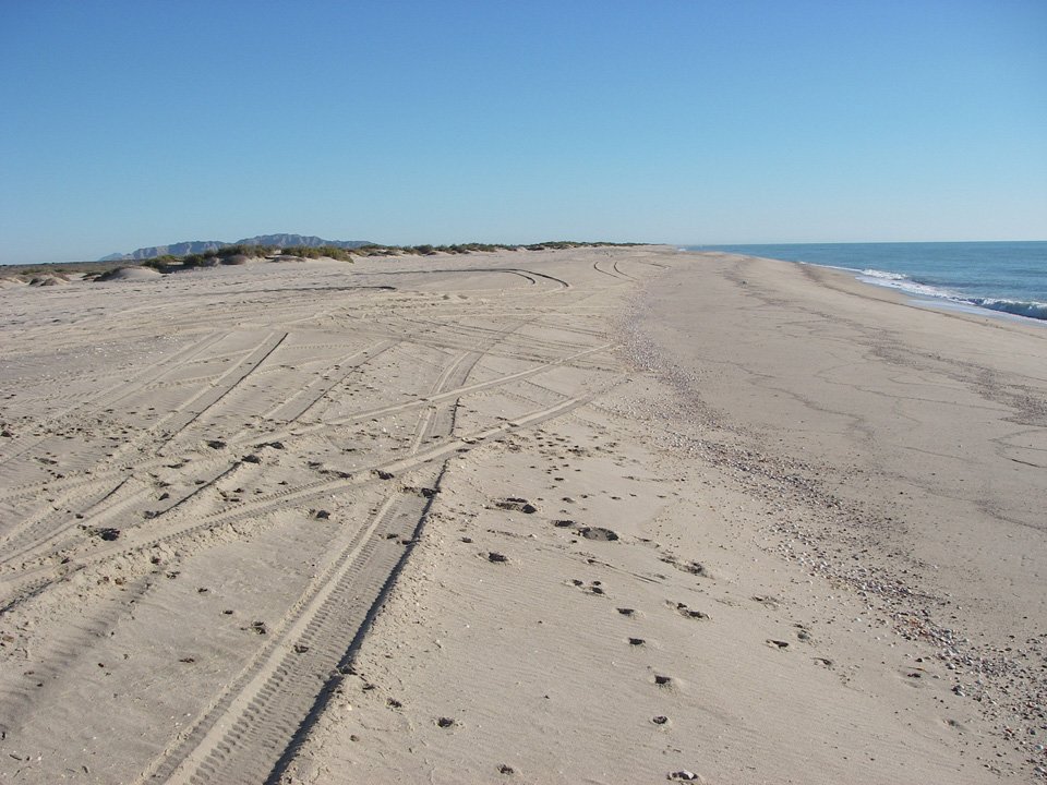 baja08094.jpg