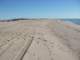 baja08094_small.jpg
