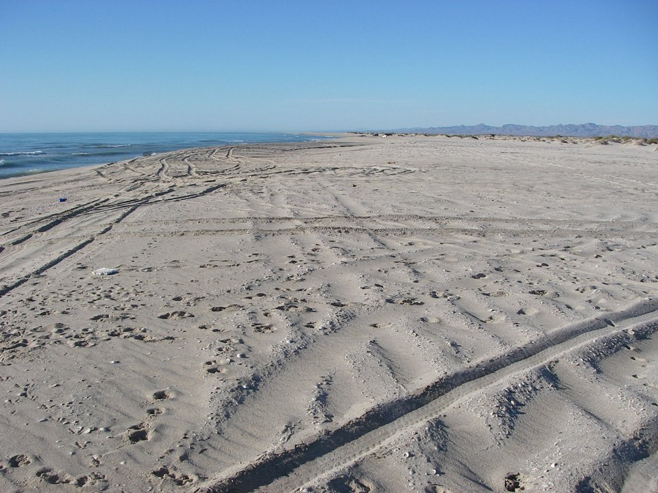 baja08095.jpg