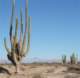 baja08097_small.jpg