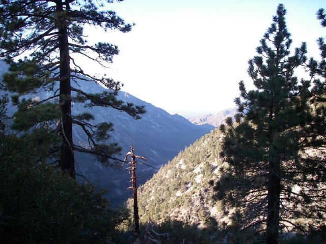baldy01.jpg