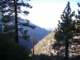 baldy01_small.jpg