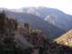 baldy02_small.jpg