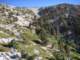 baldy04_small.jpg
