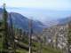 baldy07_small.jpg