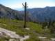 baldy08_small.jpg