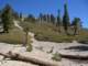 baldy09_small.jpg