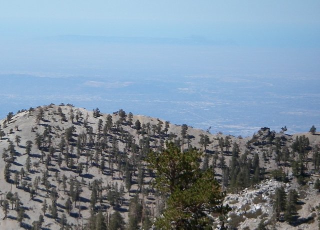 baldy13.jpg