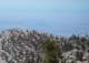 baldy13_small.jpg