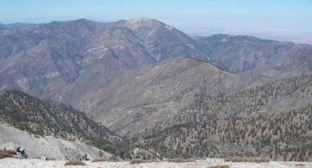 baldy16.jpg