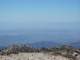 baldy17_small.jpg