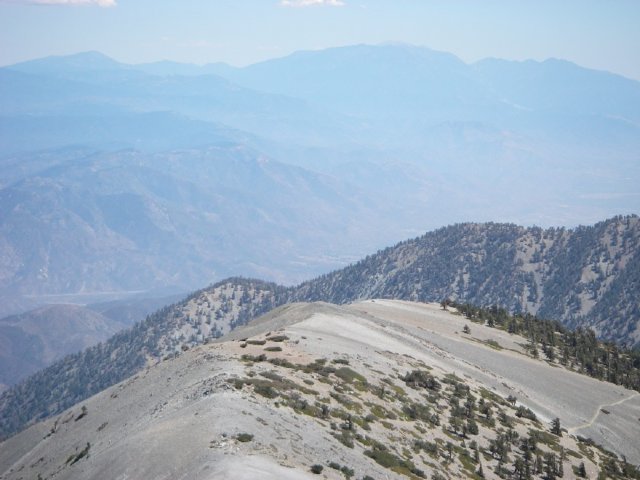 baldy22.jpg