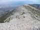 baldy23_small.jpg