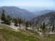 baldy26_small.jpg