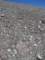 baldy27_small.jpg