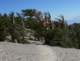 baldy28_small.jpg