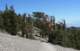 baldy29_small.jpg