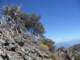 baldy30_small.jpg