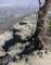 baldy31_small.jpg