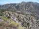 baldy33_small.jpg