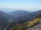 baldy36_small.jpg