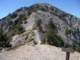 baldy37_small.jpg