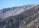 baldy38_small.jpg