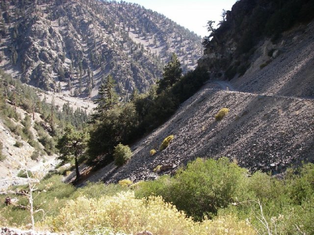 baldy40.jpg