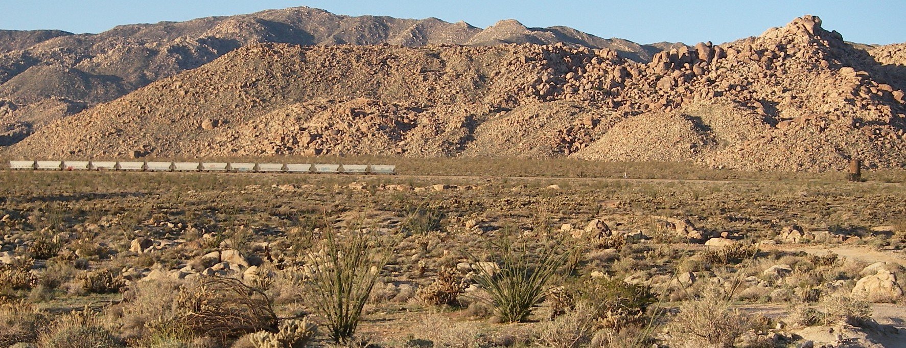borrego004.jpg