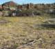 borrego006_small.jpg