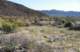 borrego011_small.jpg