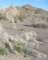 borrego013_small.jpg
