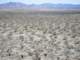 borrego023_small.jpg