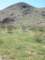 borrego029_small.jpg