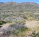 borrego030_small.jpg