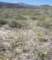 borrego059_small.jpg