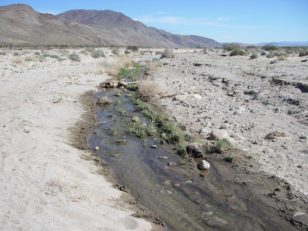 borrego061.jpg