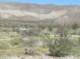 borrego063_small.jpg